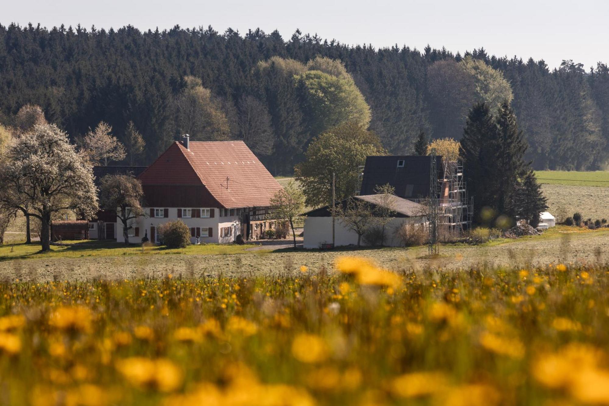 Ferienhof Greuthof Bad Wurzach Zewnętrze zdjęcie